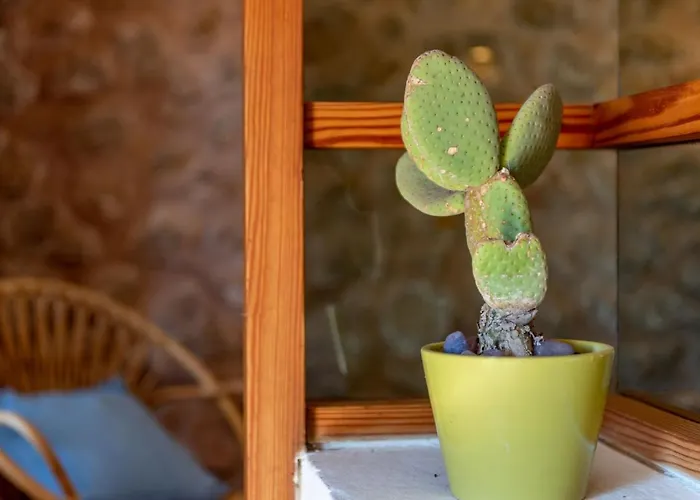 بيت للعطل Creus بويينسا