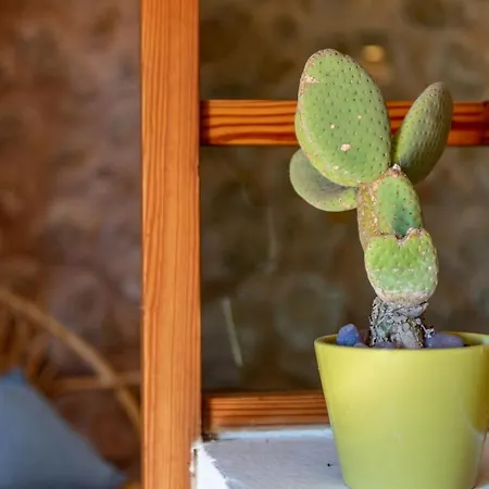 Ferienhaus Creus Pollença